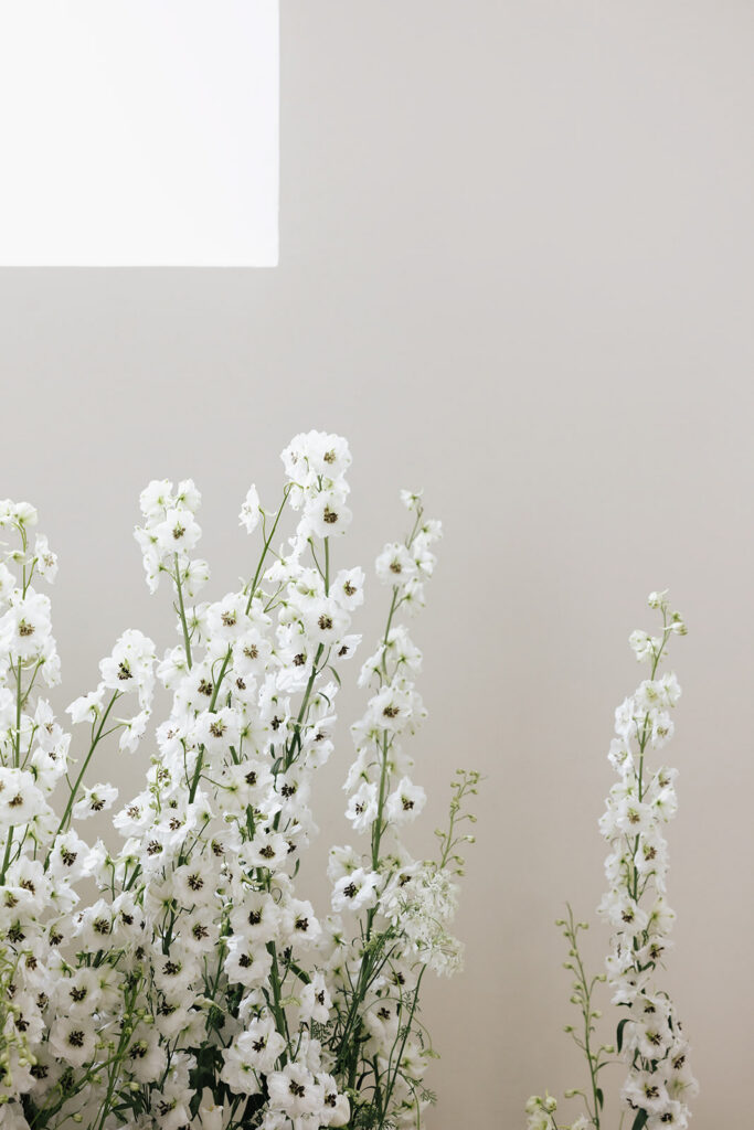 White delphinium and daisy floral arrangement by Catherine Alves for a Château de Mirwart wedding in Belgium